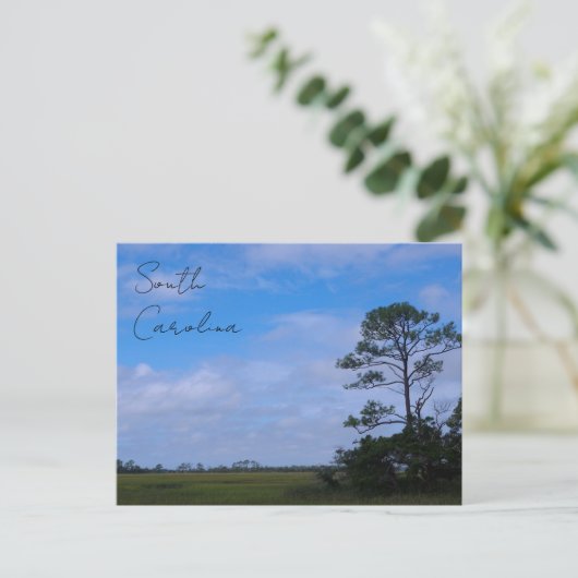 jachteilandenmoeras briefkaart (Staand voorkant)