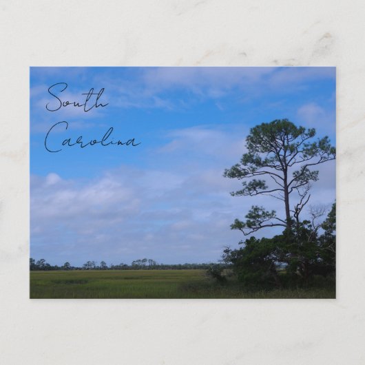 jachteilandenmoeras briefkaart (Voorkant)