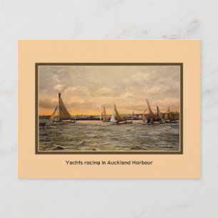 jachten racen in Auckland Harbour NZ Briefkaart