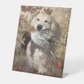 jachtfazant, tapijtschelp poster acryldruk reclamebord met voetstuk (Voorkant)