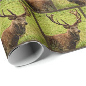 jachtherenpatroon cadeaupapier (Rol Hoek)