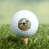 Jachthond met vogel in de mond golfballen (Insitu Shirt)