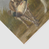 Jachthonden (door Carlo Ademollo) Tissuepapier (Detail)