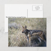 jachtjas briefkaart (Voorkant / Achterkant)