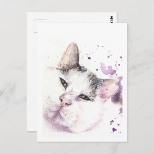 Jachtkat Briefkaart (Voorkant / Achterkant)