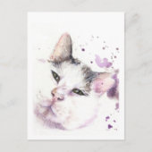 Jachtkat Briefkaart (Voorkant)