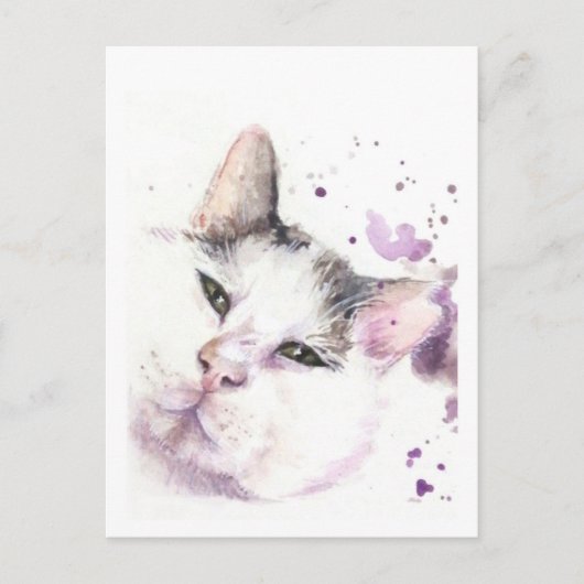 Jachtkat Briefkaart (Voorkant)