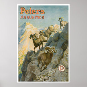 Jachtkunst op dikhoornschaap Western Poster Vintag