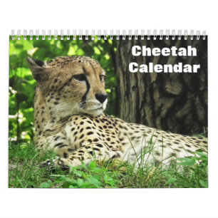 Jachtluipaard 2027 kalender