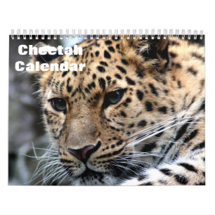 Jachtluipaard 2027 kalender