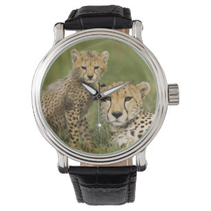 Jachtluipaard, Acinonyx jubatus, met welp Horloge