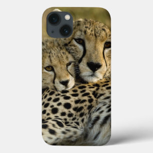 Jachtluipaard, Acinonyx jubatus, met welp in de Ma Case-Mate iPhone Case