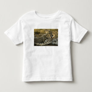 Jachtluipaard, Acinonyx jubatus, met welp in de Ma Kinder Shirts