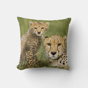 Jachtluipaard, Acinonyx jubatus, met welp Kussen