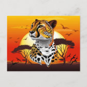 jachtluipaard briefkaart (Voorkant)