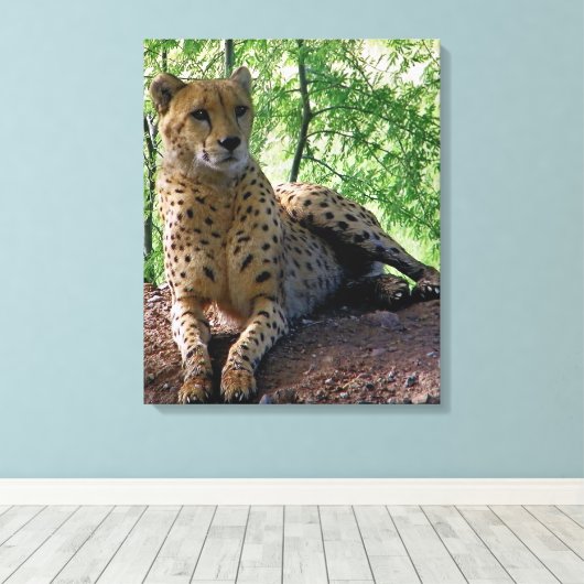 jachtluipaard canvas afdruk (Insitu (Houten vloer))