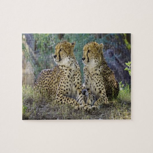 jachtluipaard Grote Katachtigen. Legpuzzel (Horizontaal)