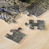 jachtluipaard Grote Katachtigen. Legpuzzel (Zijkant)
