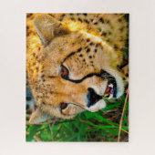 Jachtluipaard Grote Katachtigen. Legpuzzel (Verticaal)
