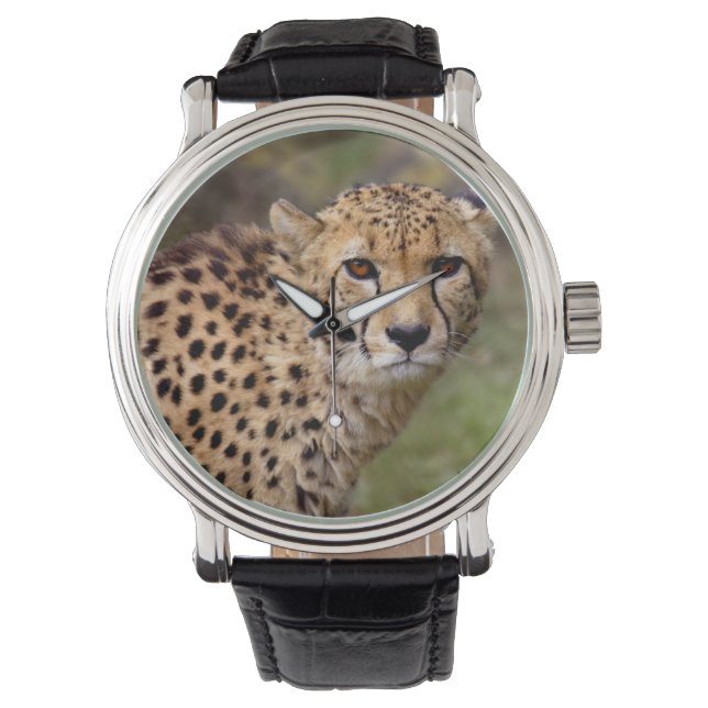 Jachtluipaard horloge (Voorkant)