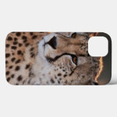 Jachtluipaard kijkt weg Case-Mate iPhone case (Achterkant (horizontaal))