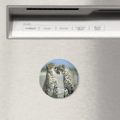 jachtluipaard magneet (Insitu (Vaatwasser))