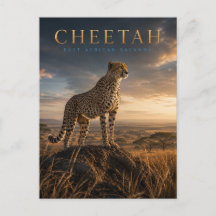 Jachtluipaard Oost-Afrikaanse savanne DIEREN