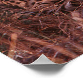 Jachtluipaard Star Poster (Hoek)