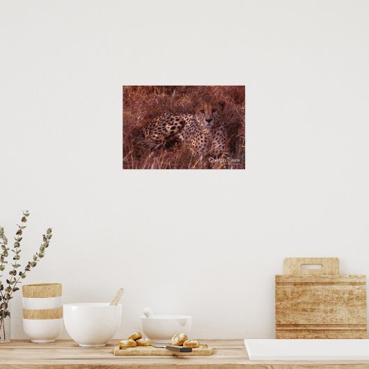 Jachtluipaard Star Poster (Keuken)