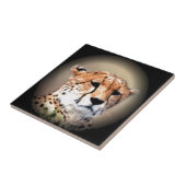 Jachtluipaard Traan Strepen Hakunamatata Tegeltje (Zijkant)