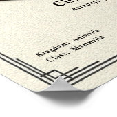 Jachtluipaard Zoölogie Serie Poster (Hoek)