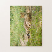 Jachtluipaarden Grote Katachtigen. Legpuzzel (Verticaal)