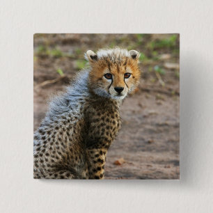 Jachtluipaardwelp Acinonyx Jubatus) Vierkante Button 5,1 Cm