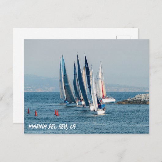 Jachtrace - Marina Del Rey, CA Briefkaart (Voorkant / Achterkant)