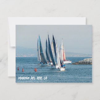 Jachtrace - Marina Del Rey, CA Briefkaart