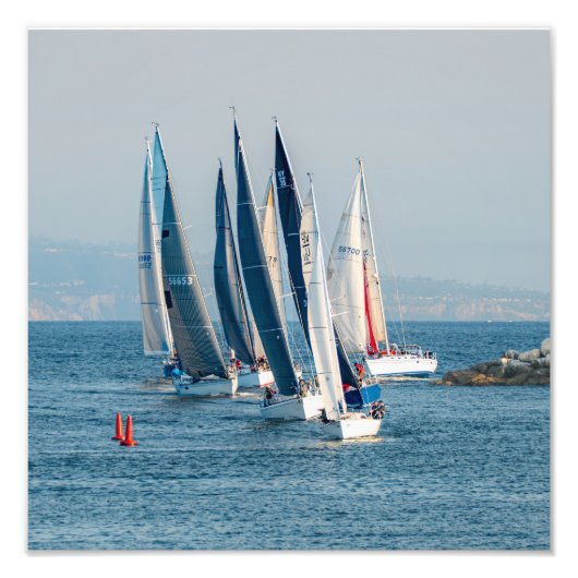 Jachtrace - Marina Del Rey, CA Foto Afdruk (Voorkant)