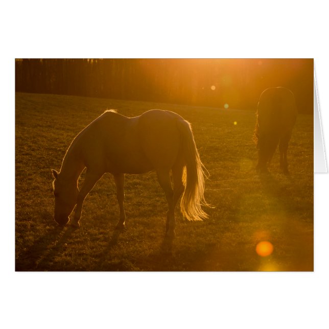 Jaci & Ava (Voorkant Horizontaal)