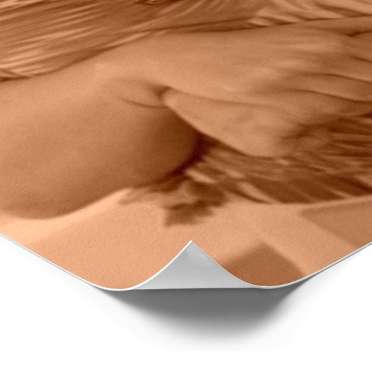 Jack and Jill feat Adam Sandler en Adam Sandler Poster (Hoek)