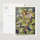 Jack-by-the-hedge fee briefkaart (Voorkant / Achterkant)