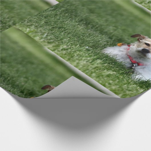 Jack Cadeaupapier (Hoek)