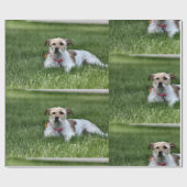 Jack Cadeaupapier (Vlak)