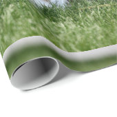 Jack Cadeaupapier (Rol Hoek)