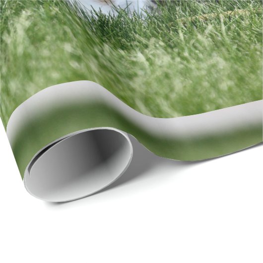 Jack Cadeaupapier (Rol Hoek)