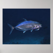 Jack Cleaning Poster (Voorkant)