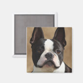 Jack de Boston terriër Magneet (Voorkant / Achterkant)