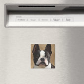 Jack de Boston terriër Magneet (Insitu (Vaatwasser))