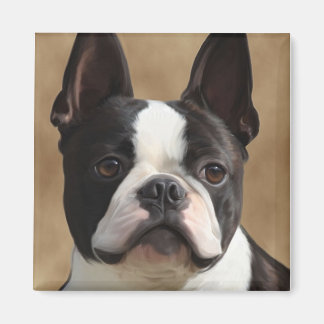 Jack de Boston terriër Magneet