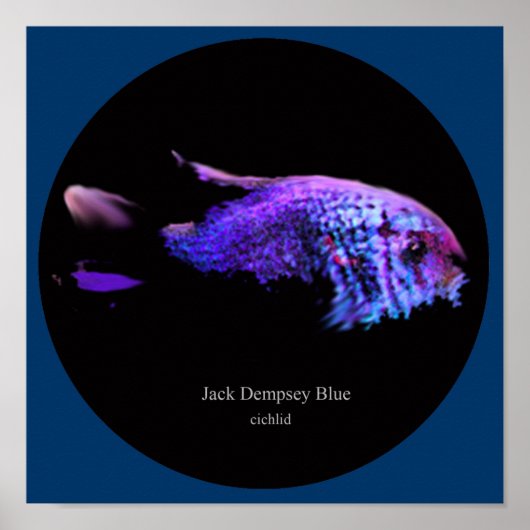 Jack dempsey blue poster (Voorkant)