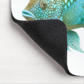 Jack Dempsey Cichlid Fish Muismat (Hoek)