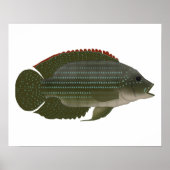 Jack Dempsey Poster (Voorkant)